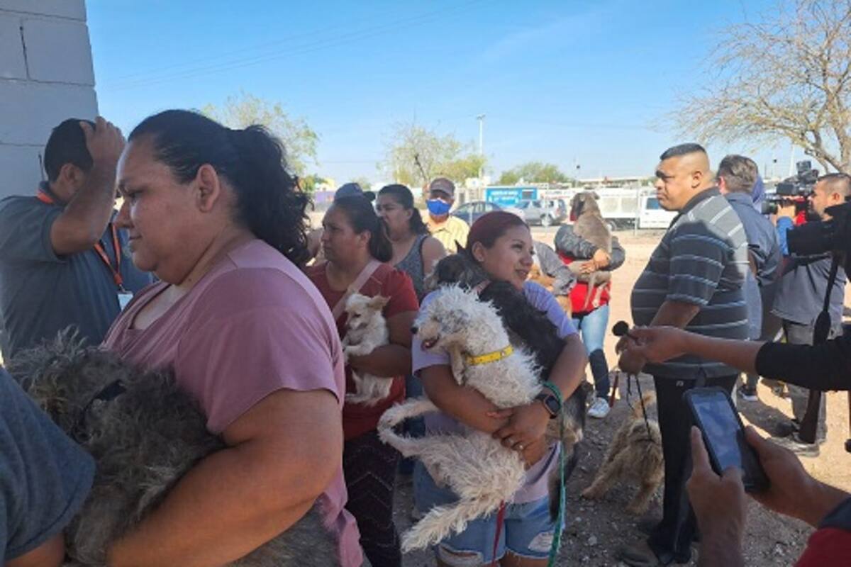 Ascienden a seis defunciones por Rickettsia en lo que va del año