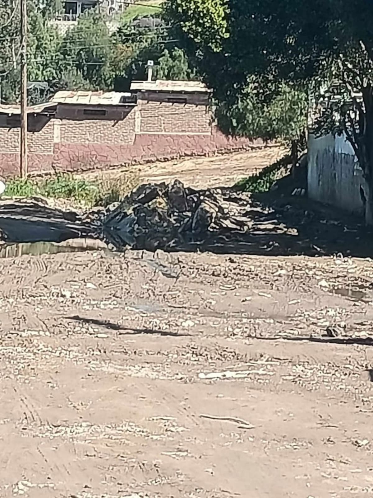 Los vecinos de la calle Nuevo León piden ayuda a las autoridades.