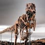 T-Rex rompe récord en subasta: fósil de 67 millones de años se vende por 50.1 millones de dólares