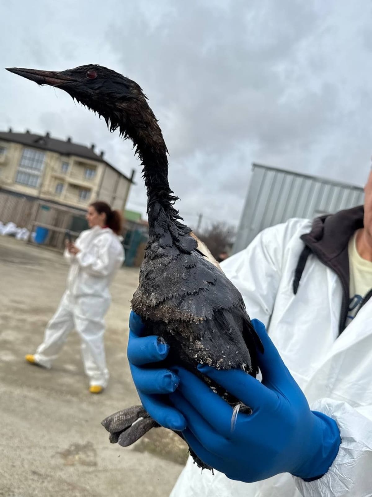 Foto: Centro de Rehabilitación "Zhemchuzhnaya".