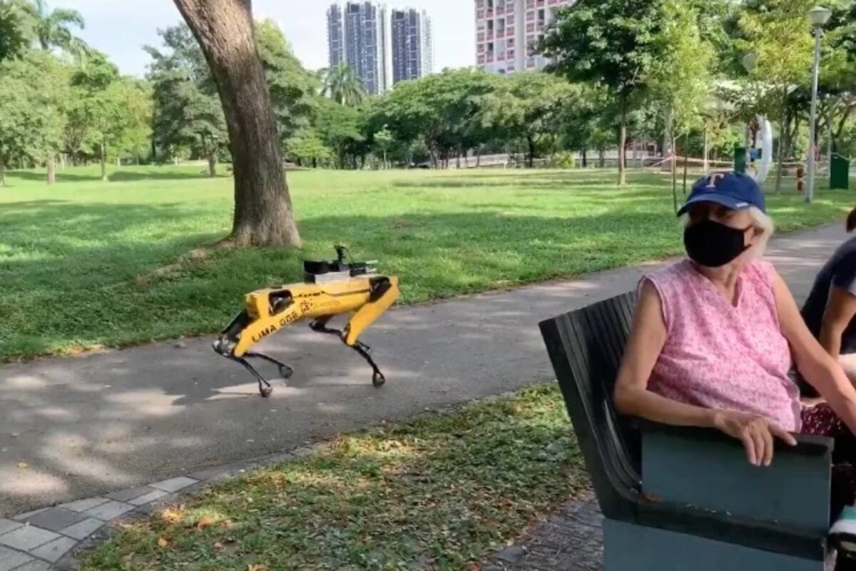 Ponen perros robot de Boston Dynamics a patrullar sus parques para mantener el distanciamiento
