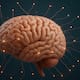 Cómo la forma del cerebro podría indicar riesgo de Alzheimer antes de los síntomas