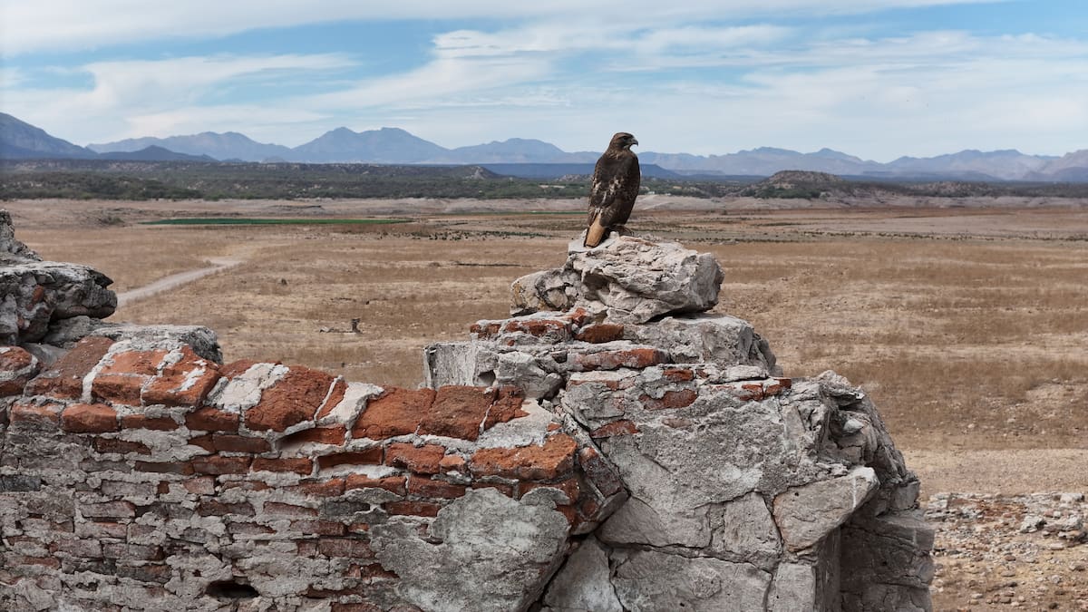 La Ruta del Novillo se consolida como uno de los recorridos turísticos más atractivos del Estado. FOTO: BANCO DIGITAL