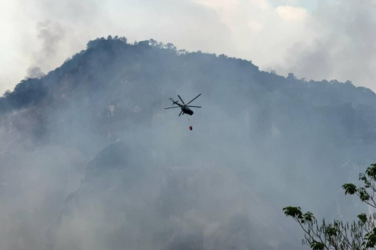 Autoridades preparan denuncias por incendio forestal en Tepoztlán; 180 hectáreas afectadas