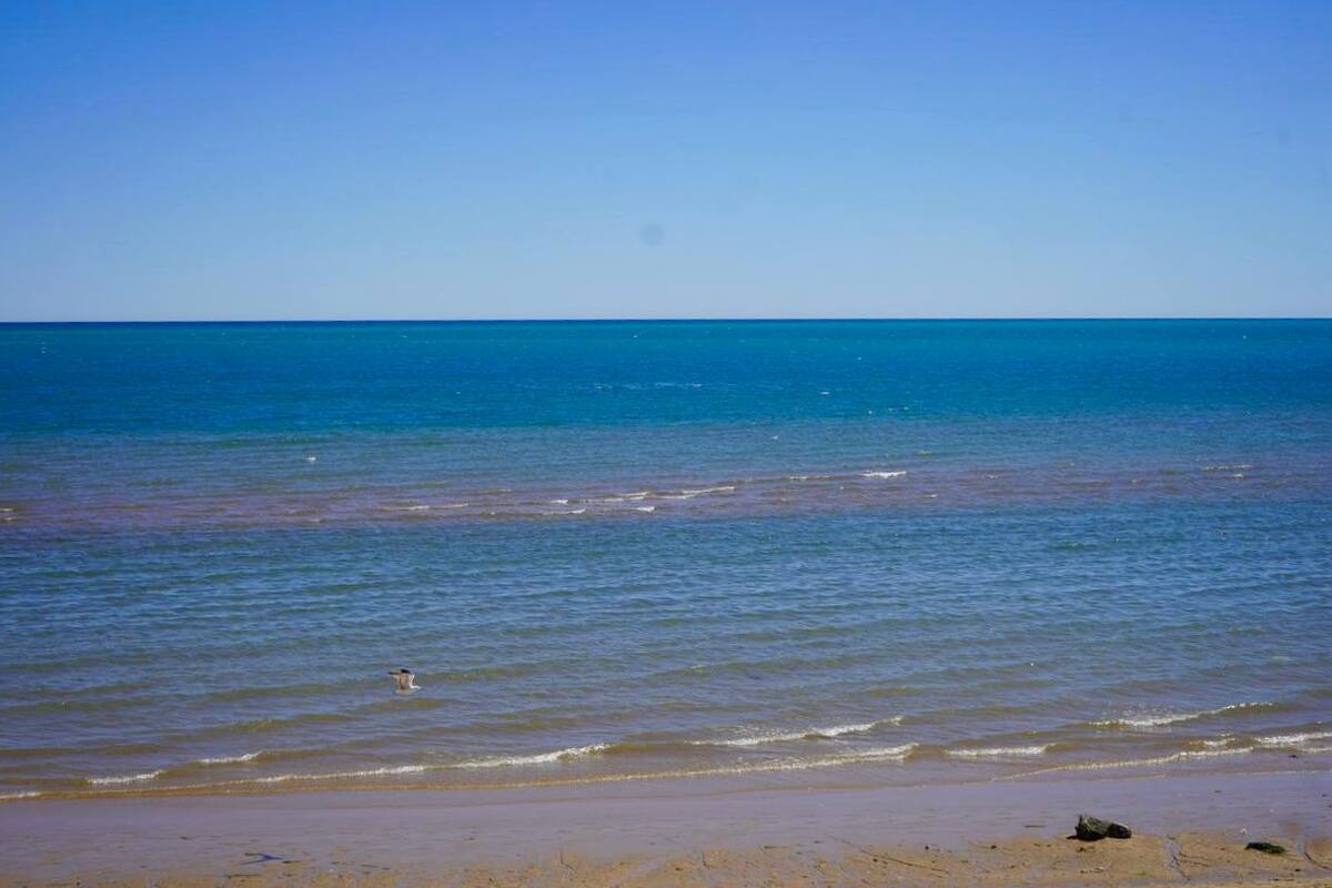 BC tiene 15 playas aptas para recreación en temporada vacacional: Coepris