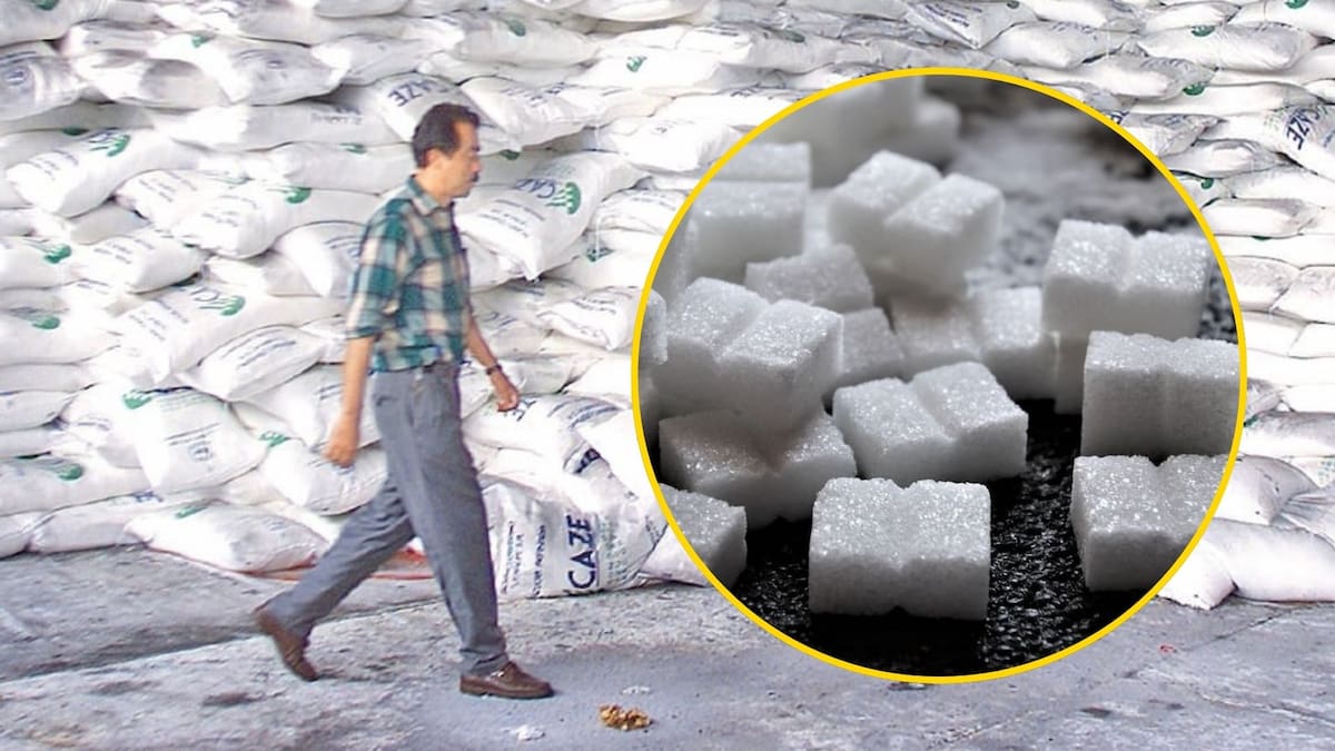 México eleva aranceles al azúcar hasta 210% para proteger a la agroindustria nacional ante caída de precios internacionales