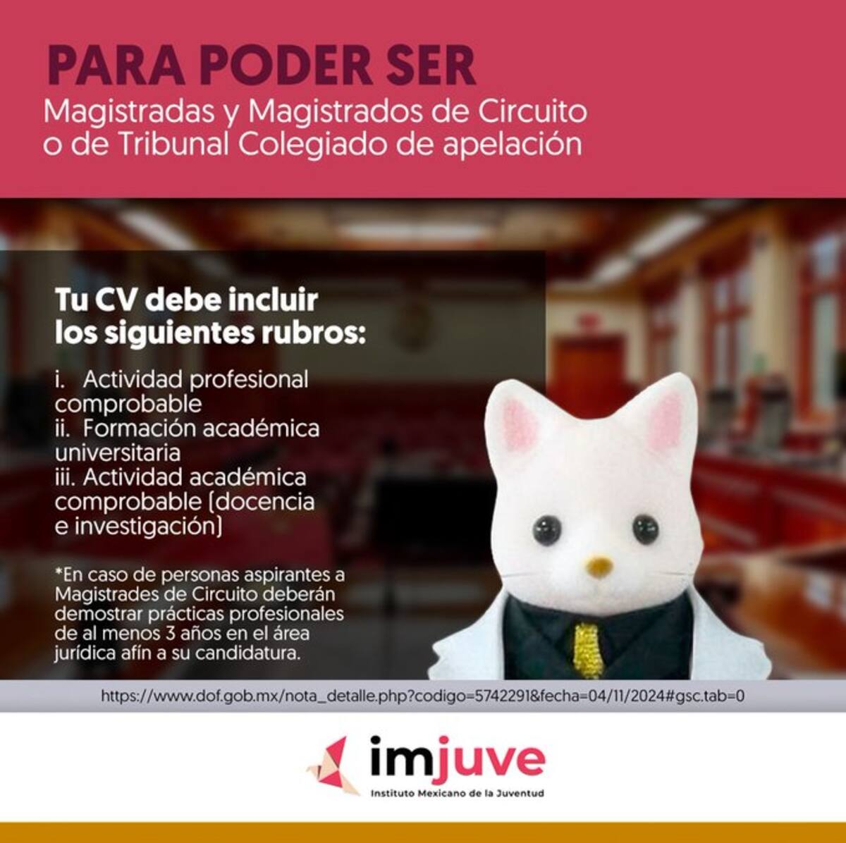 Requisitos específicos para magistrados y magistradas de circuito o tribunal colegiado. / Captura de pantalla. @imjuvemx en X