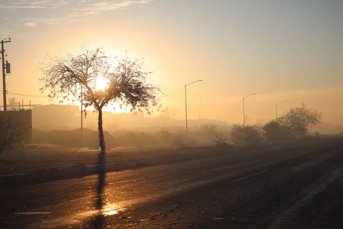 Registran gran volumen de denuncias por contaminación ambiental: Redspira