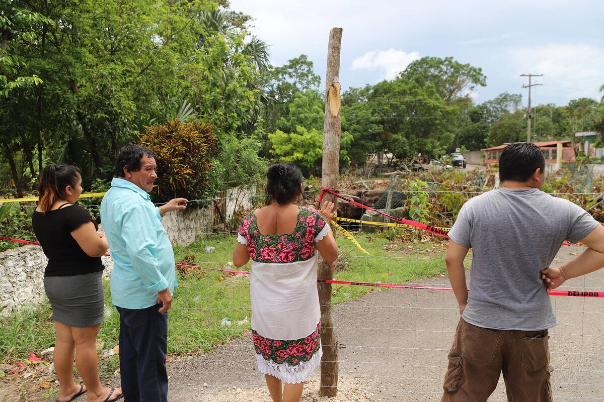 Caída de árbol sagrado en cenote de Yucatán intriga a comunidad maya