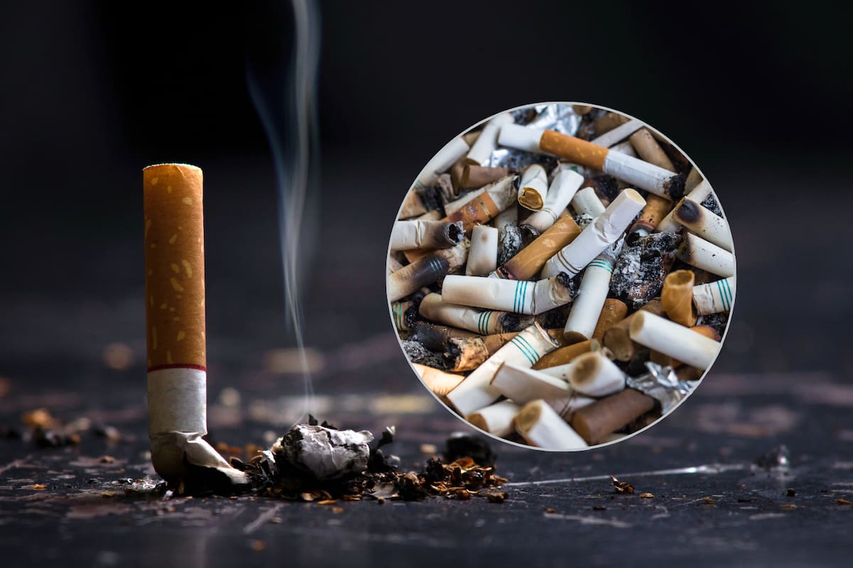 “No hay un manejo adecuado de las colillas de cigarro en los establecimientos”, denuncia colectivo