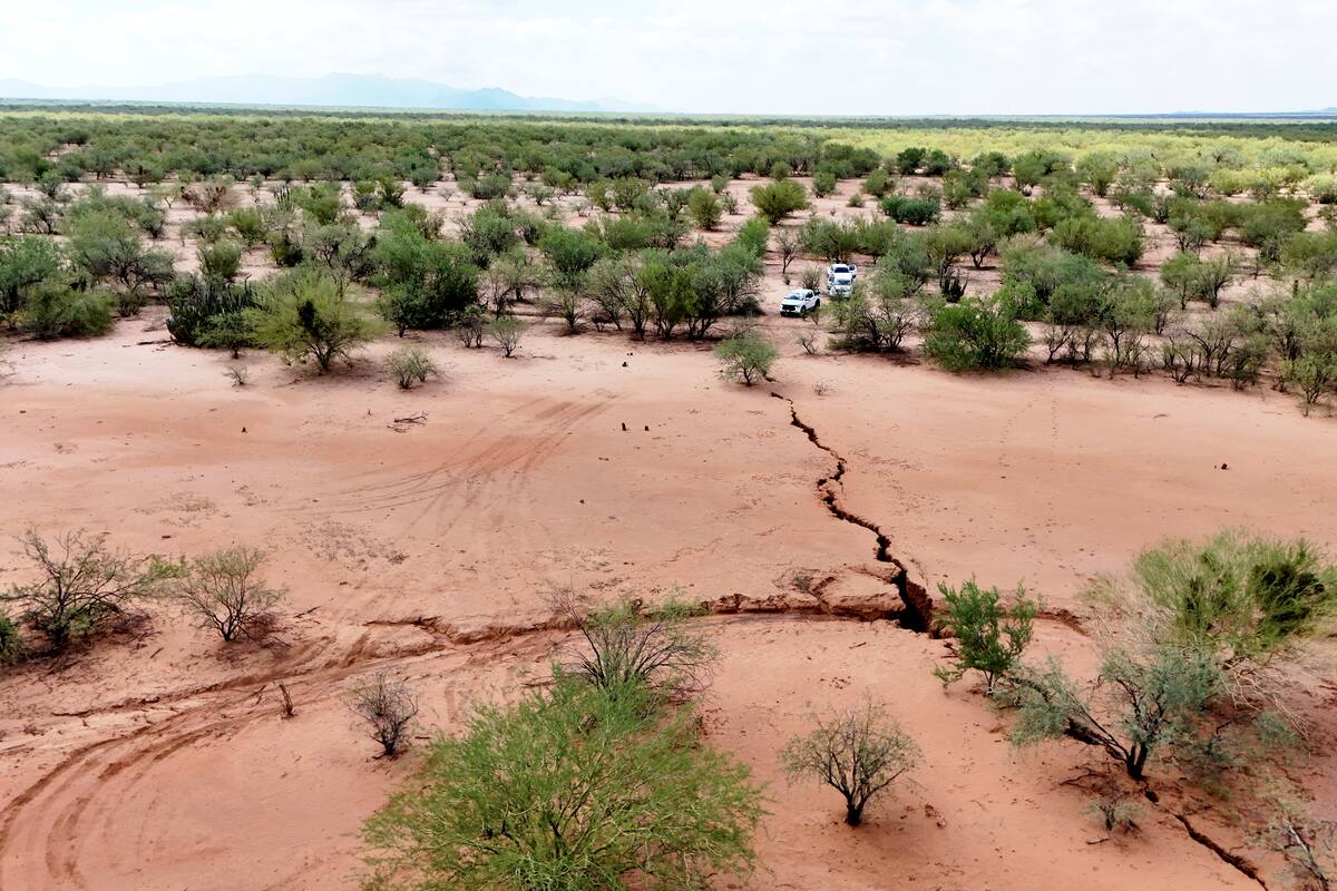 FOTOS: Preocupan a pobladores profundas grietas cerca de Hermosillo donde cayó ganado; así lucen sus tierras