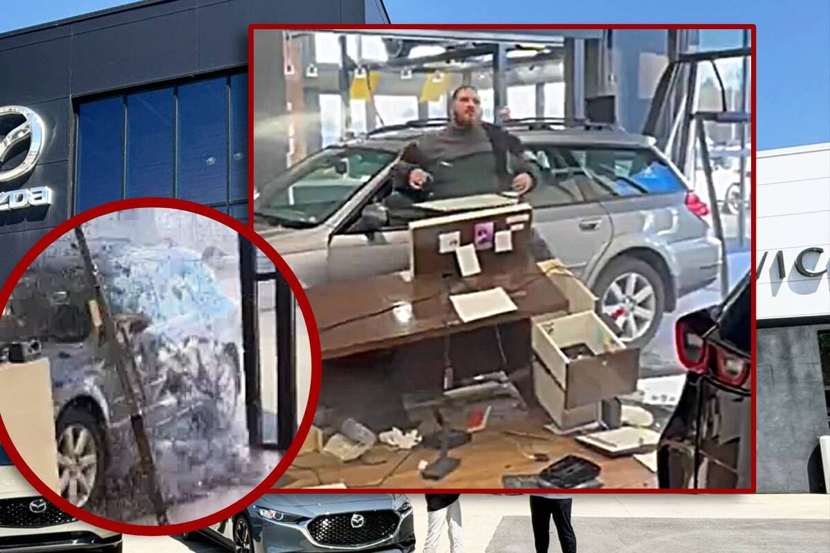 “¡Se los dije, hijos de p...!”: Hombre furioso estrella su carro recién comprado en agencia de Mazda, tras ser negado un reembolso