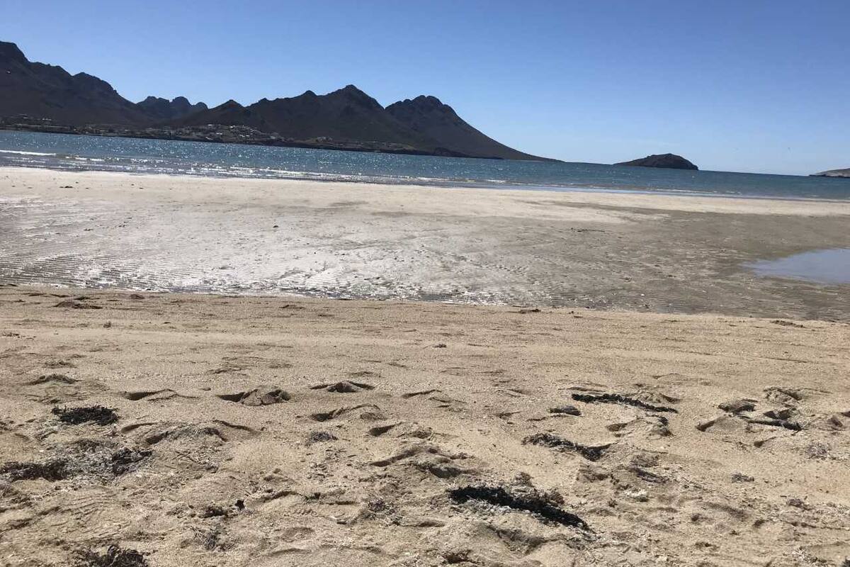 Toman muestras en playa Miramar tras derrame de aguas negras