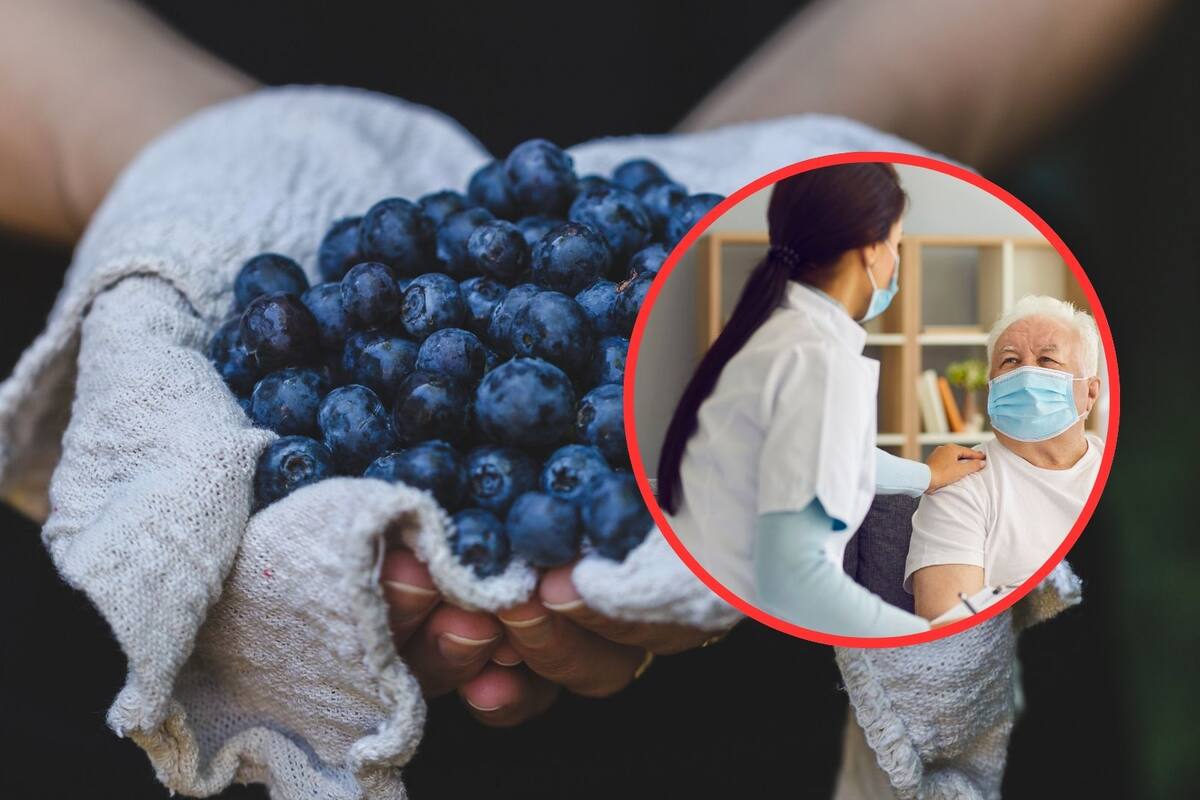 Esta fruta reduce el riesgo de demencia según Harvard