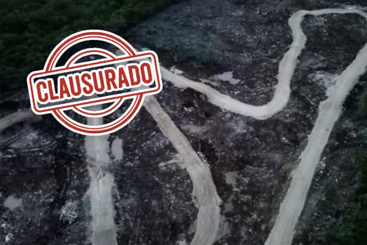 Clausuran pista de motocross en Yucatán: devastaron más de 4 hectáreas de selva sin permiso ambiental