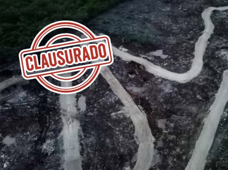 Clausuran pista de motocross en Yucatán: devastaron más de 4 hectáreas de selva sin permiso ambiental