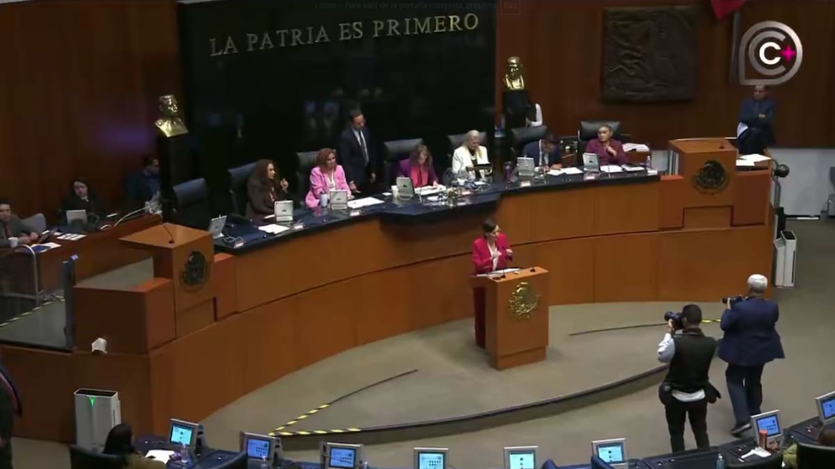 Lilly Téllez acusa de “narcopolítico” a Saúl Monreal y provoca fuerte choque en el Senado. Foto: Captura de pantalla