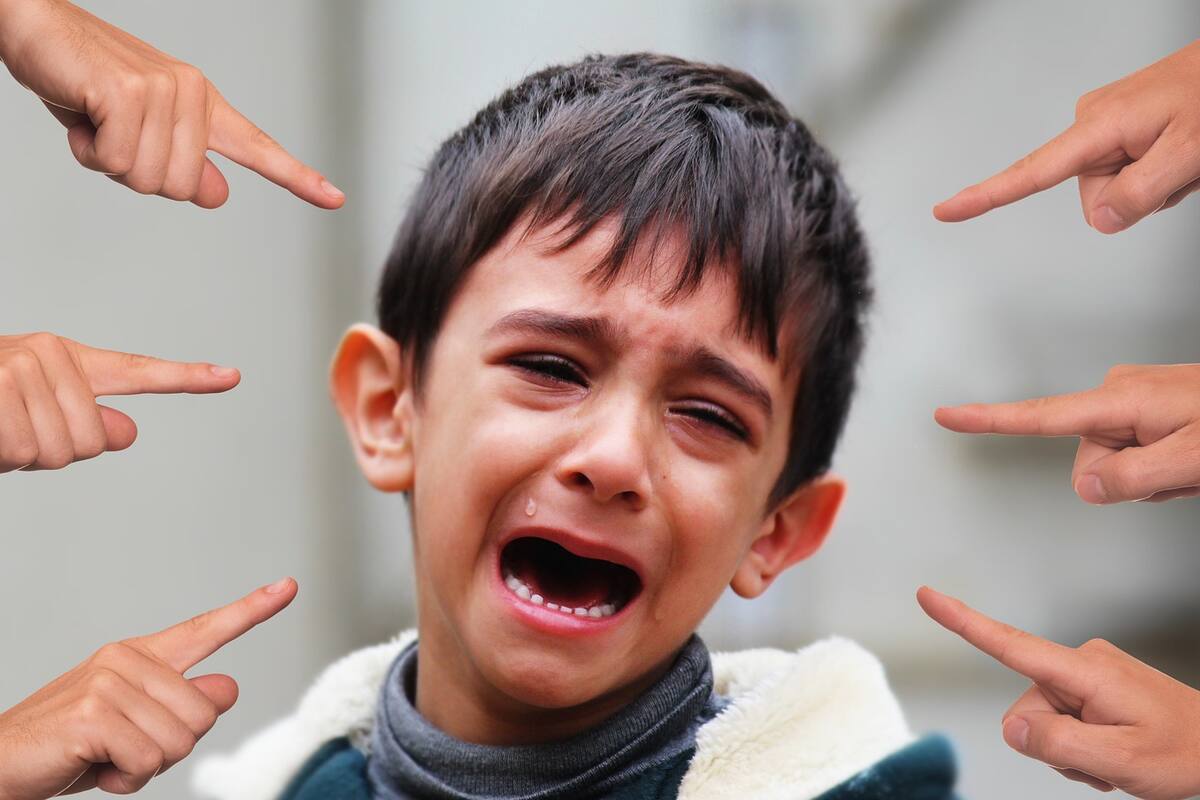 Las heridas del bullying