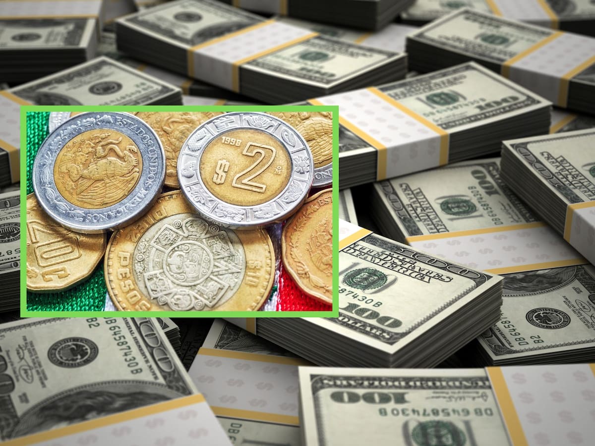 ¿En cuánto se cotiza el dólar hoy? | Crédito: Canva