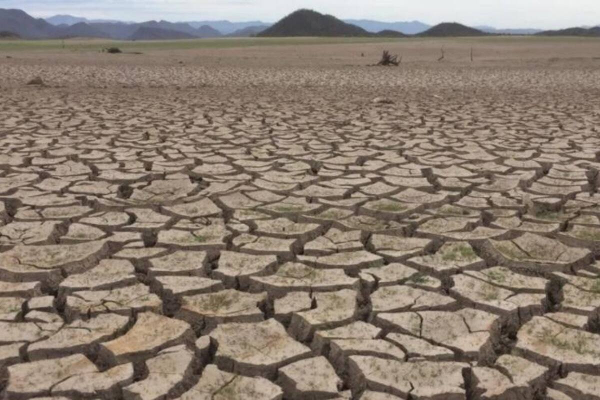 Lanza CEDES convocatoria de apoyos a proyectos ambientales, para asociaciones civiles y personas físicas