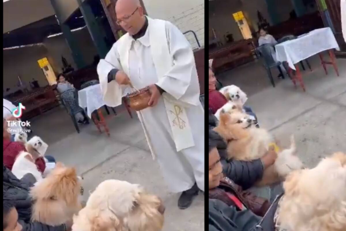 VIDEO: ¡Agua bendita, no! Sacerdote bendice a perritos y uno de ellos se revela