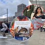 Mexicanos en Berlín protestan contra planta de amoníaco en Sinaloa financiada por banco alemán