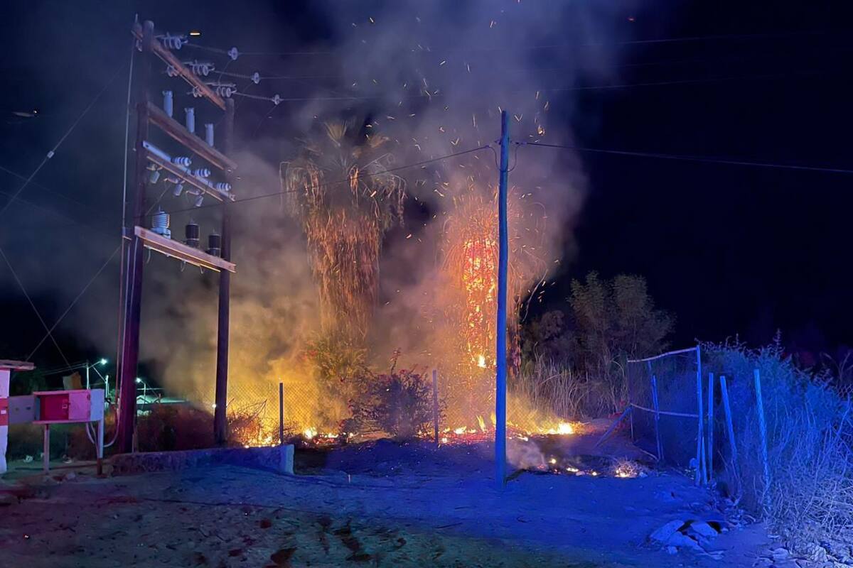 Registran Incendio de Palmas en el Ejido Nuevo León