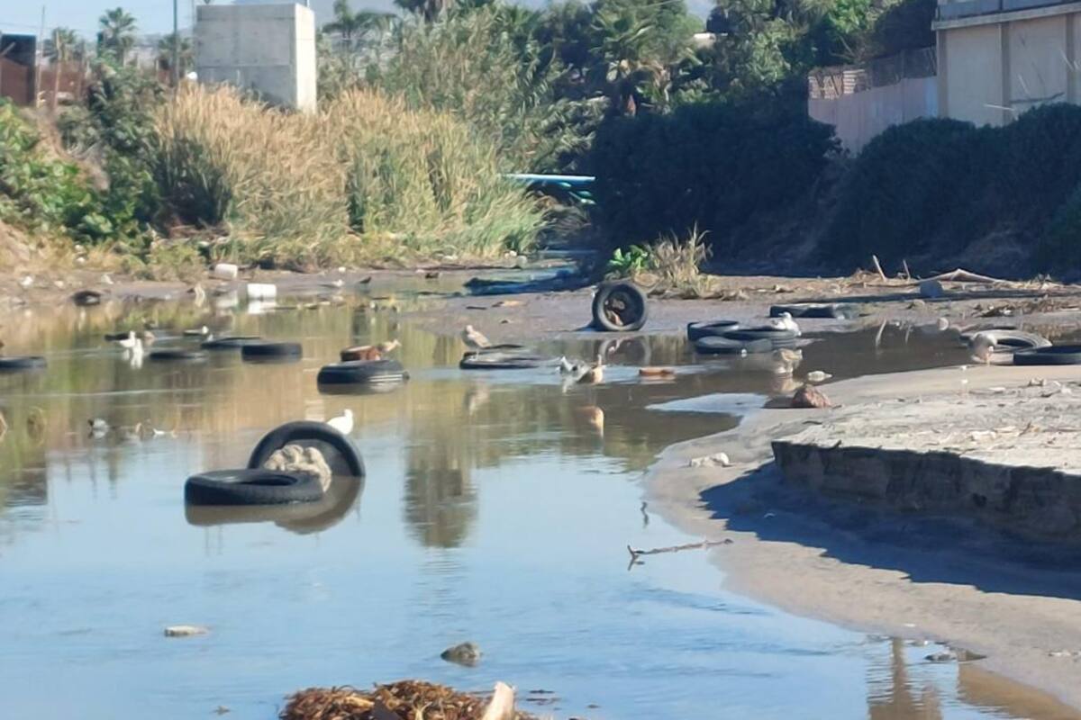 Presenta desembocadura del arroyo Huahuatay altos niveles de contaminación: Cofepris
