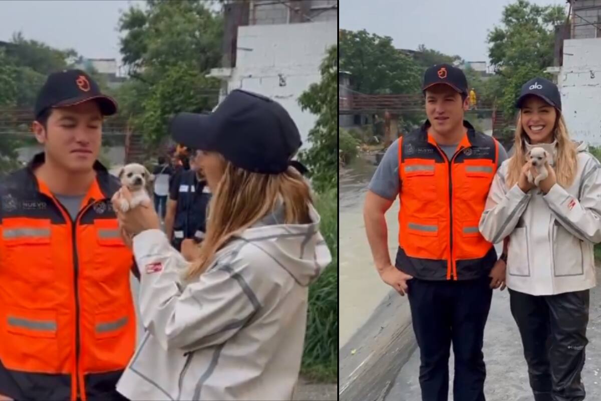 Conoce a Alberto, el perrito que Samuel García y Mariana Rodríguez adoptaron tras recorrido por zonas afectadas por tormenta en NL