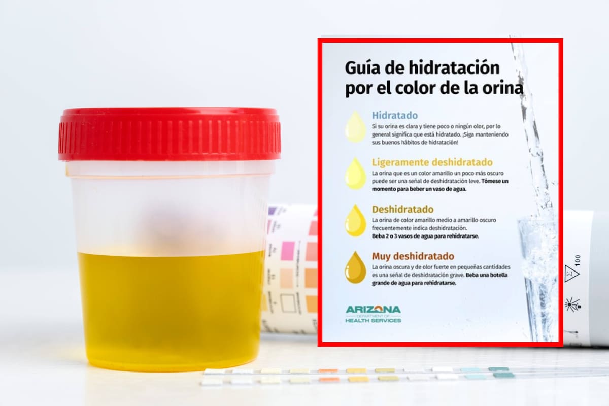 ¿El color de tu orina puede revelar si estás deshidratado? Así puedes identificar las señales