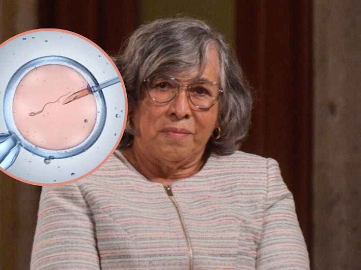 Ministra Ríos aclaró que dijo que los nacidos por fecundación in vitro no pertenecen a una familia de “forma ilustrativa”