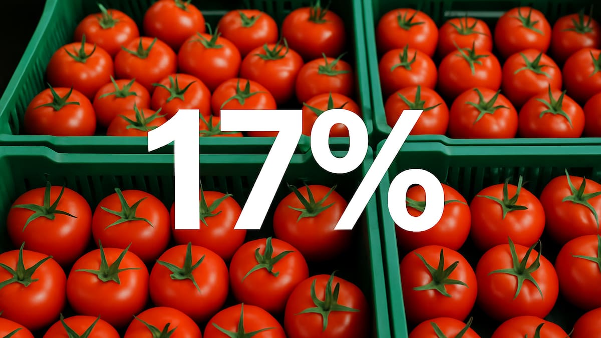 Estados Unidos impone arancel del 17% a tomates frescos mexicanos tras ruptura de acuerdo comercial