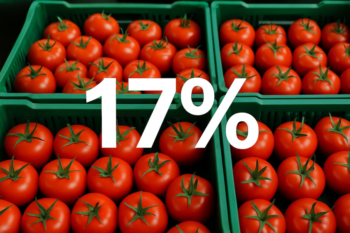 Estados Unidos impone arancel del 17% a tomates frescos mexicanos tras ruptura de acuerdo comercial