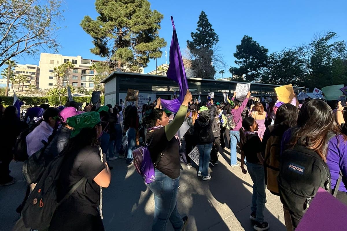 CEDHBC desplegará hasta 60 visitadoras para acompañar marchas del 8 de marzo en Baja California