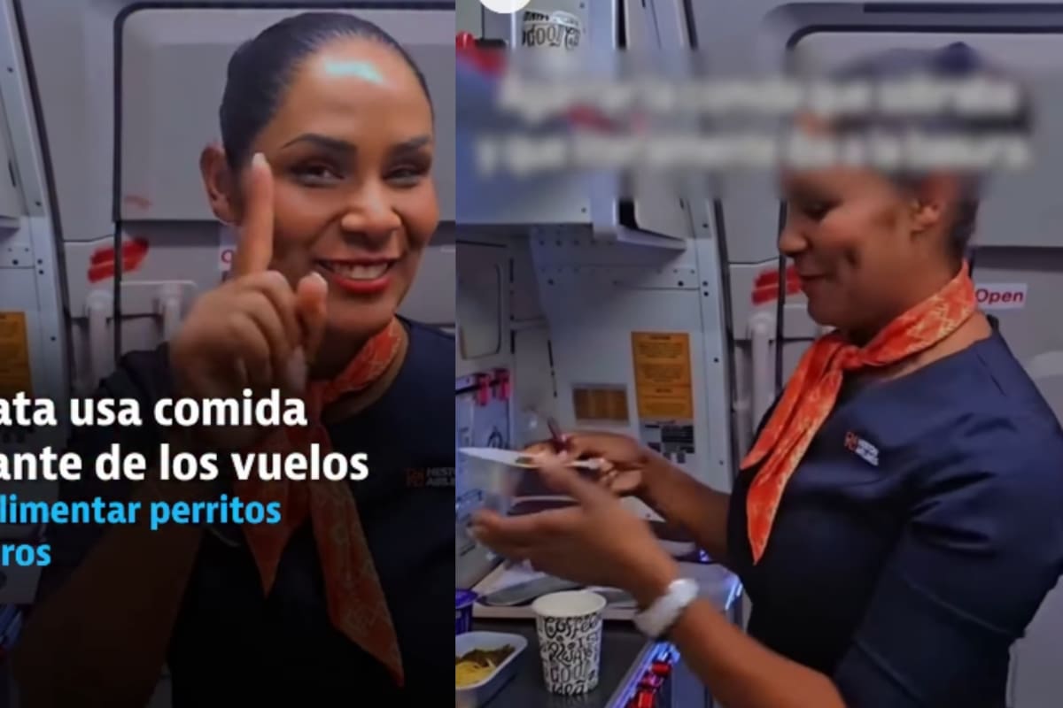¿Qué pasa con la comida que sobra en los vuelos?: azafata responde la mítica pregunta