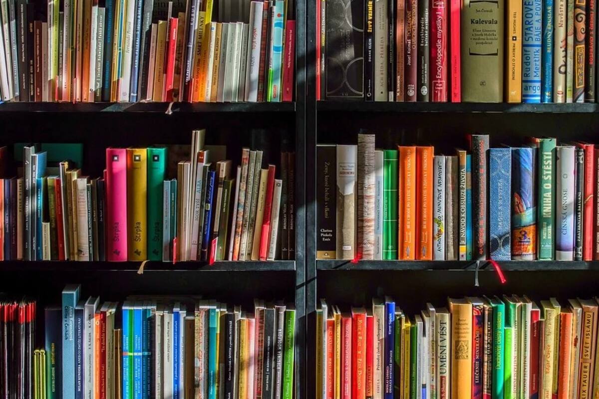 Harán árbol navideño de libros