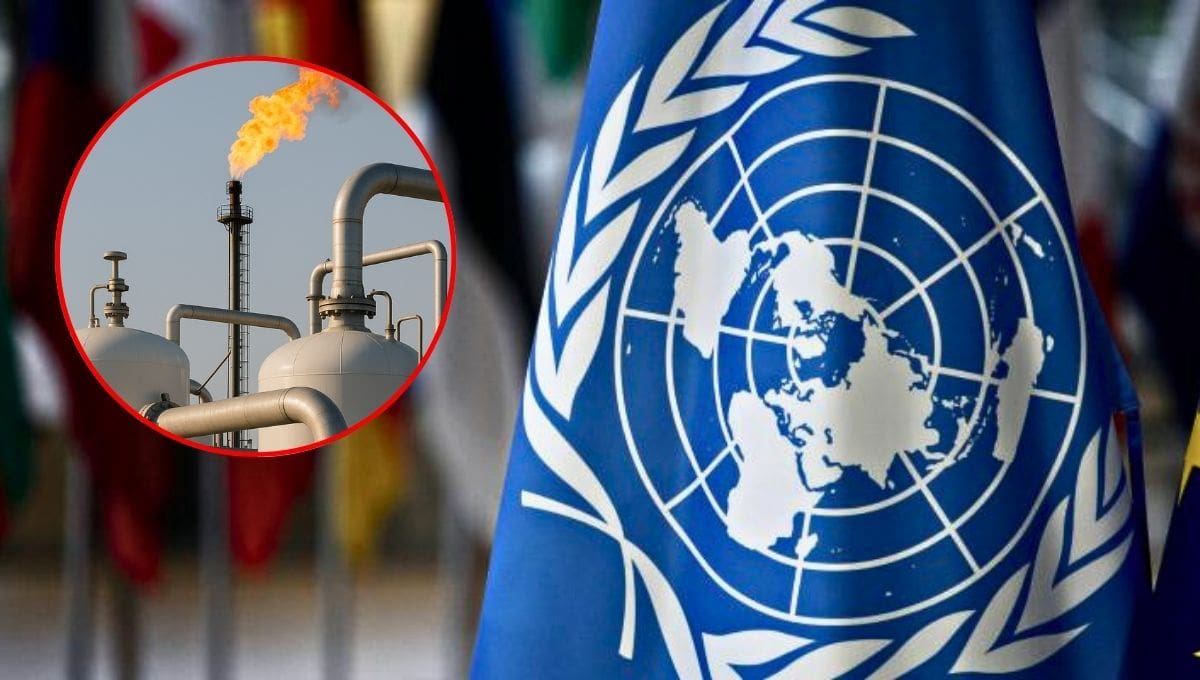 La ONU envió una comunicación formal al Gobierno de México en la que expresa su “profunda preocupación” por la legalidad, el impacto climático y la compatibilidad con los derechos humanos de los megaproyectos de gas fósil licuado en el Golfo de California.