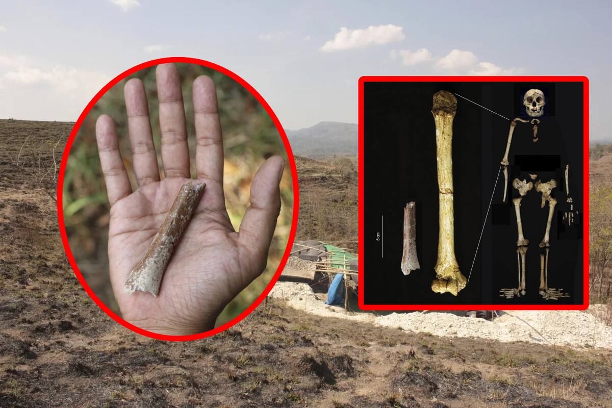 Descubrimiento de los antecesores de los “Hobbits”: Nuevas revelaciones sobre los primeros humanos en Indonesia