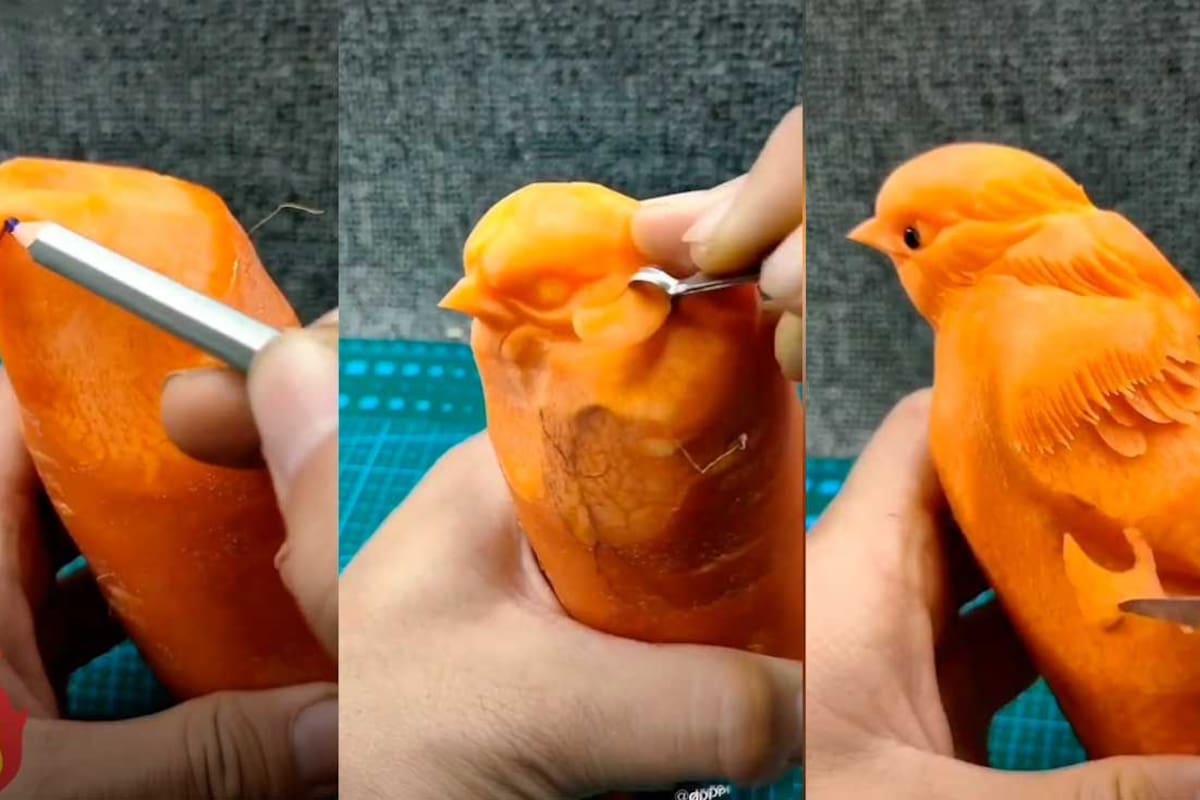 Hizo la escultura de un ave usando una zanahoria, se volvió viral