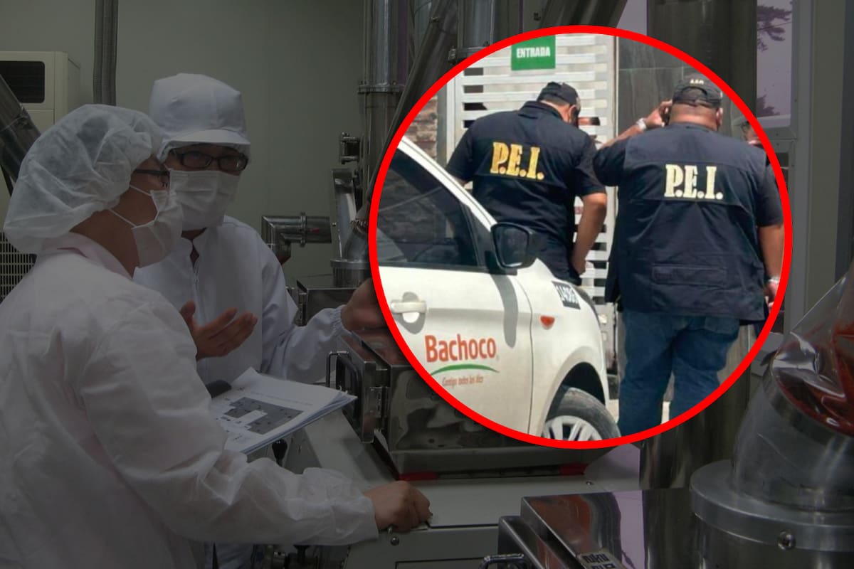 Dos hombres mueren atrapados en fosa séptica en planta procesadora de pollos en Yucatán