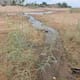 Fuga de agua por presunta toma clandestina forma una laguna al sur de SLRC