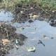 Urgen instalación pluvial vecinos de Ejido Francisco Villa