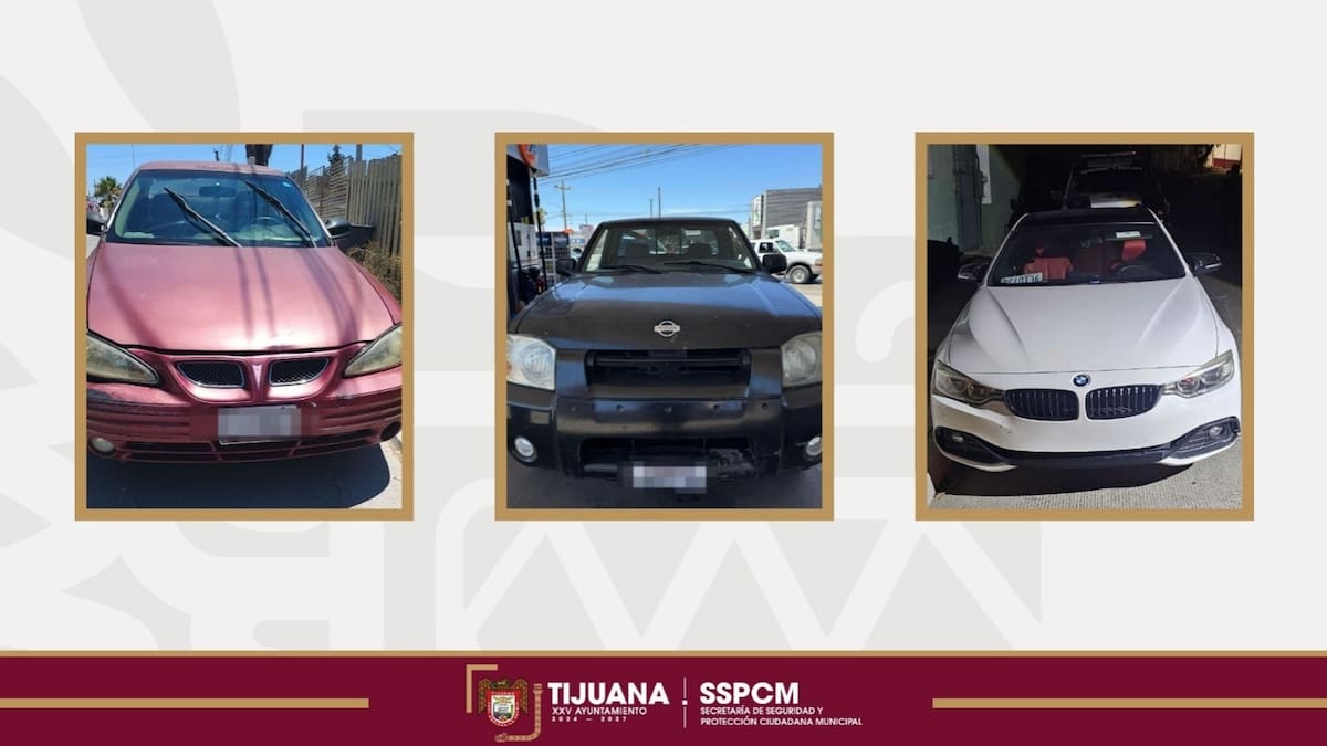 Foto: cortesía