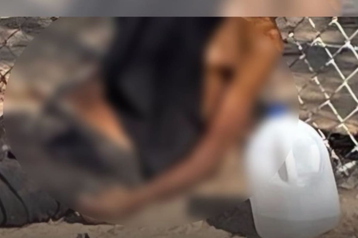 Muere por golpe de calor hombre encontrado junto a un galón de agua en el Villa Zapata