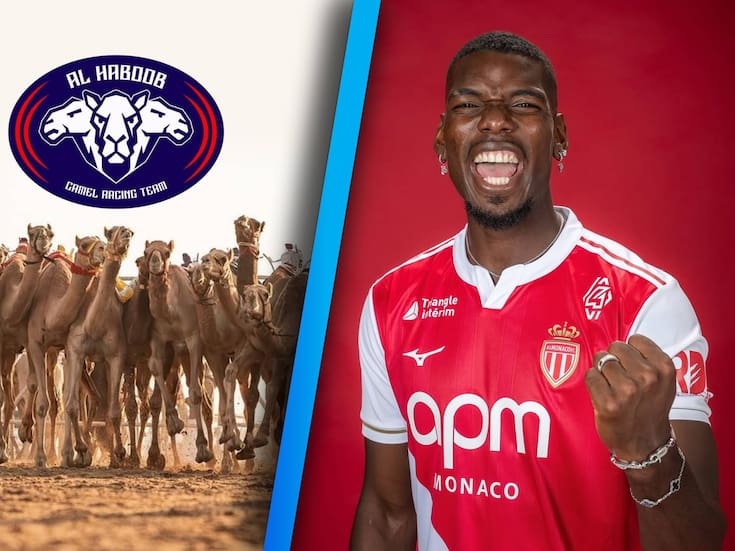 Paul Pogba le entra al negocio de las carreras de camellos profesionales