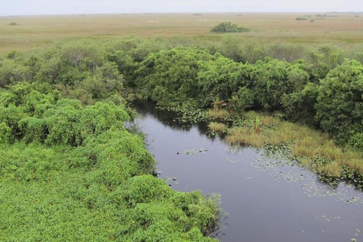 Incendio forestal en EU afecta reserva del parque nacional Everglades