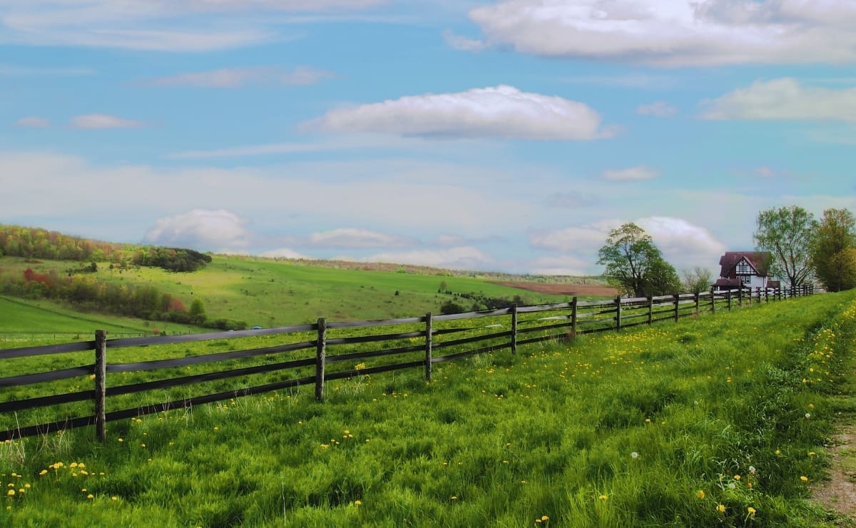 Explicó que su familia ha cultivado alimentos incluso en momentos críticos como la Gran Depresión en Estados Unidos, lo que refuerza su postura de mantener la tierra en uso agrícola. Foto: Especial
