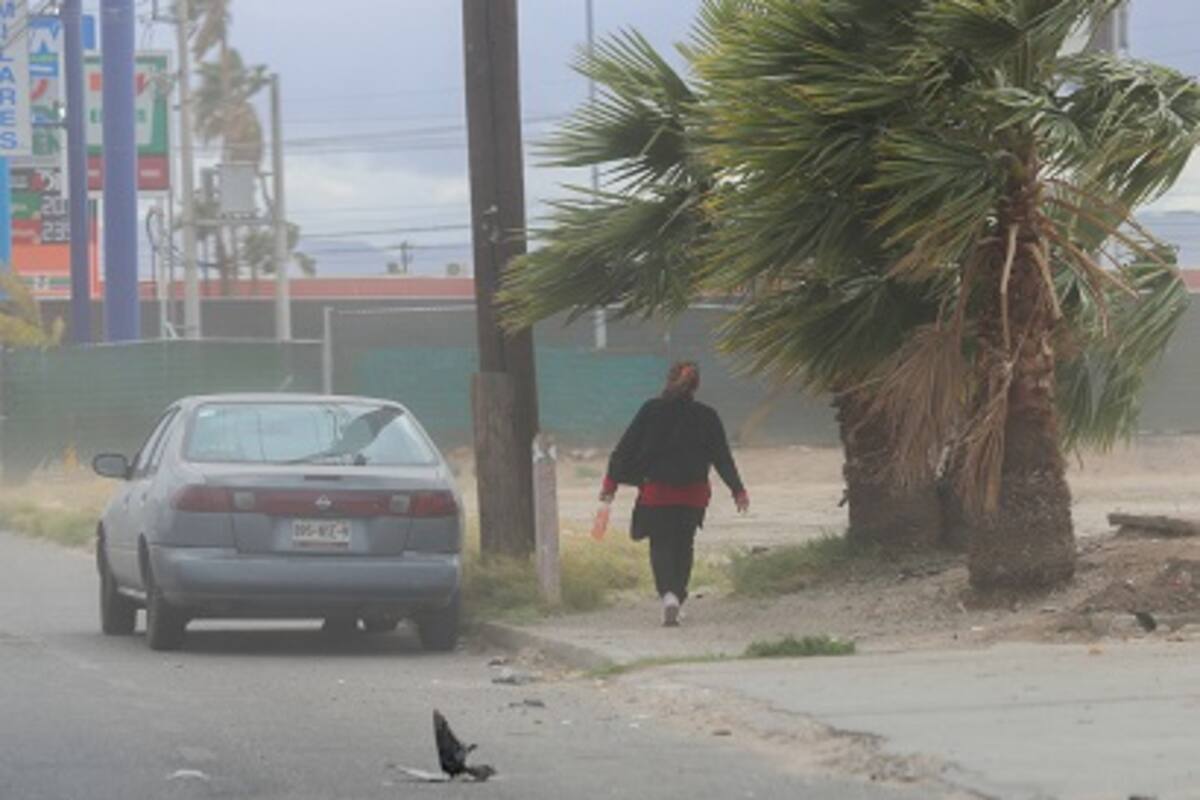 Pronostican ráfagas de viento de hasta 60 km/h para este fin de semana