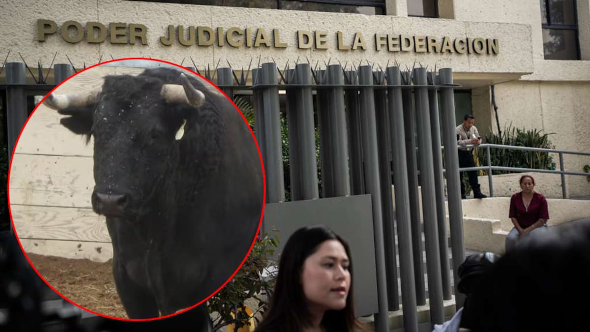 Activistas protestan ante el PJF por audiencia sobre corrida de toros en Tijuana
