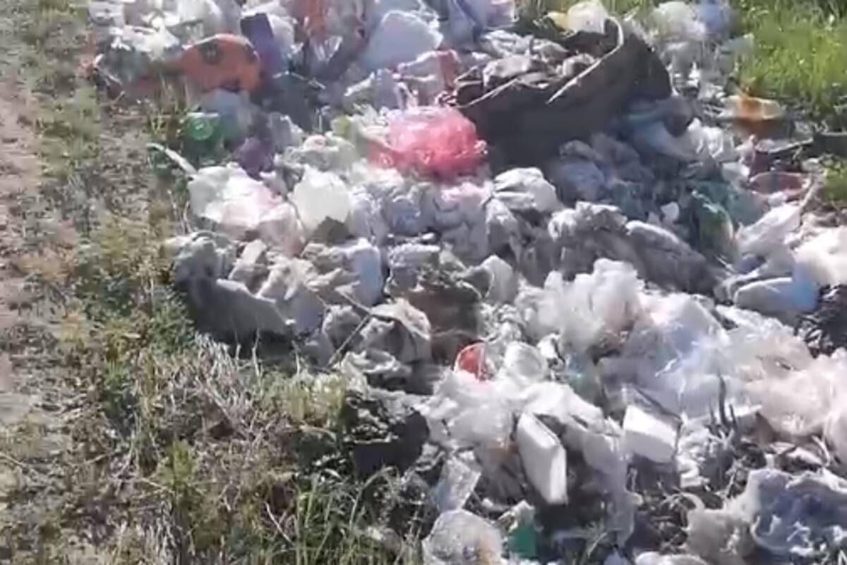 Homicidios Tijuana: Localiza colectivo cuerpo en estado de putrefacción